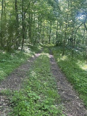 Chumbley Woods Trail