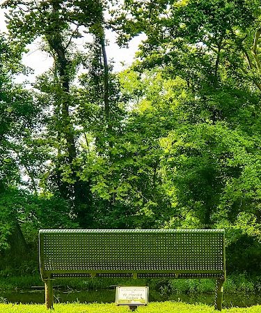 Dave King Park