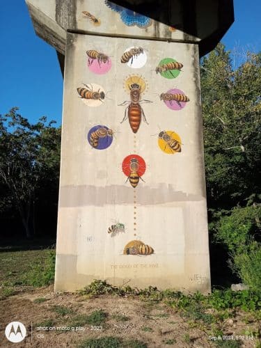 Dave King Park