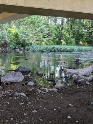 Dave King Park