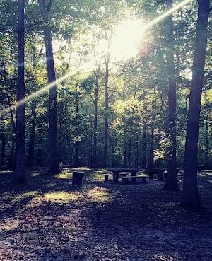 Old Stone Fort State Park playground & picnic area