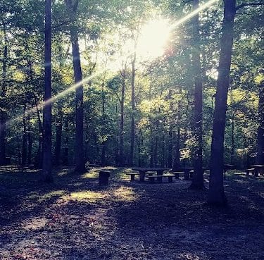 Old Stone Fort State Park playground & picnic area