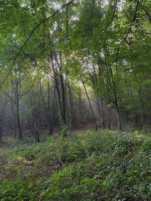 Mansfield Hollow Lake Recreation Area