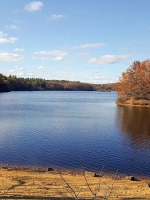 Mansfield Hollow State Park - Mansfield Center, CT