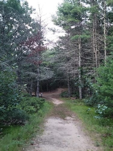 Mansfield Hollow State Park