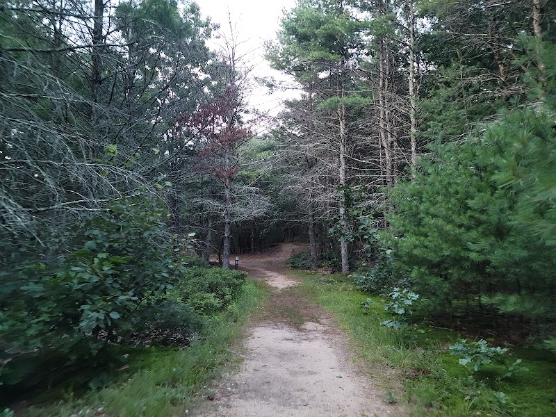Mansfield Hollow State Park - Mansfield Center, CT