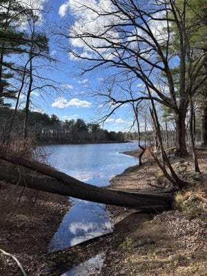 Mansfield Hollow State Park