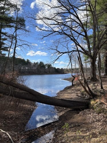 Mansfield Hollow State Park