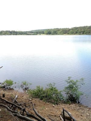 Mansfield Hollow State Park