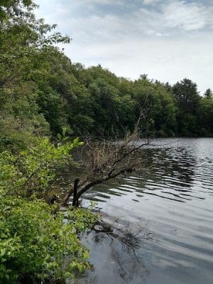 Mansfield Hollow State Park