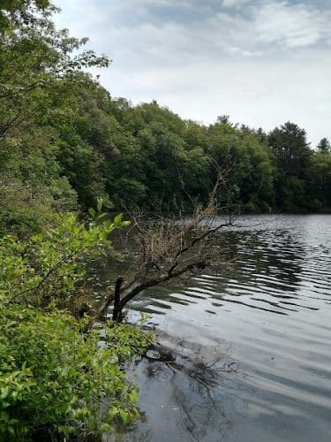 Mansfield Hollow State Park