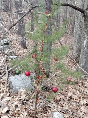 Mansfield Hollow State Park