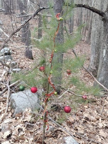 Mansfield Hollow State Park