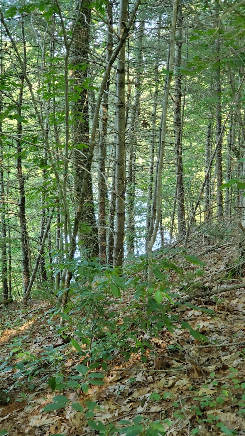 Mansfield Hollow State Park - Mansfield Center, CT