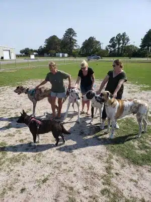 Roanoke Island Dog Park - Manteo, NC
