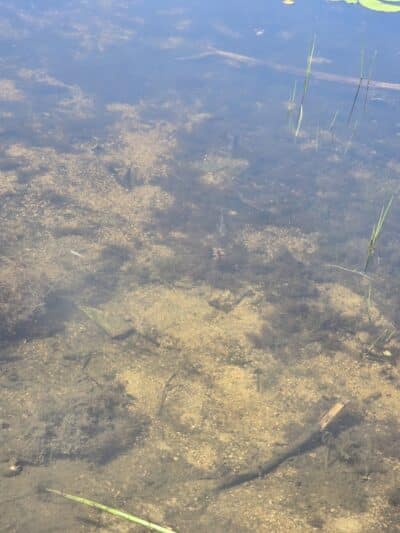 Manville Memorial Park - Manville, RI
