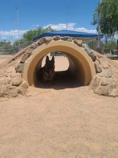 Crossroads at Silverbell District Park - Dog Park - Marana, AZ