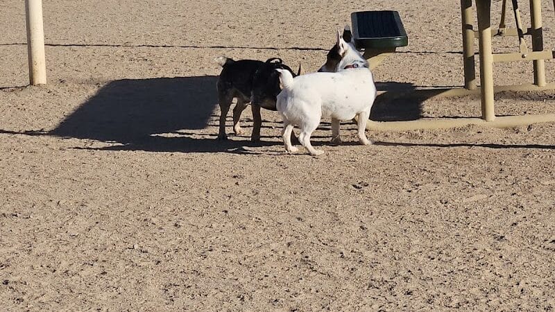 Crossroads at Silverbell District Park - Dog Park - Marana, AZ