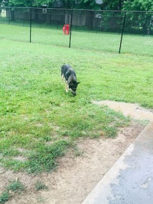 Marion Park District - THE Bark Park - Marion, IL