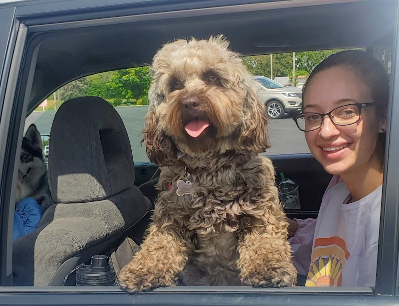 Kaufman Dog Park - Marion, OH