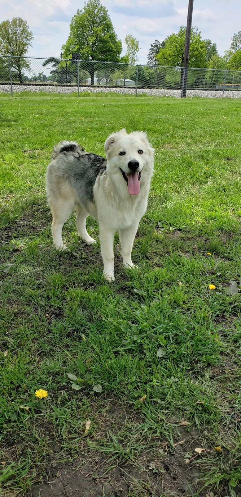 Kaufman Dog Park - Marion, OH