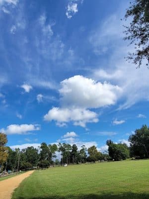 Withlacoochee Park