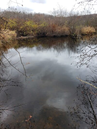 Blackledge River Greenway Trail - Marlborough, CT