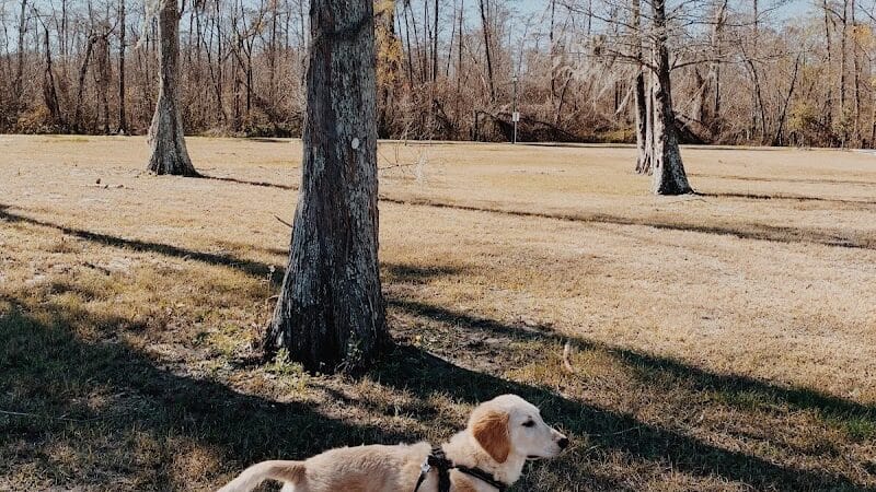 Parc des Familles Dog Park - Marrero, LA
