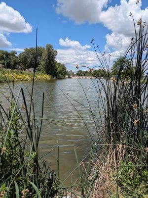 Marsing Island Park