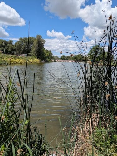 Marsing Island Park