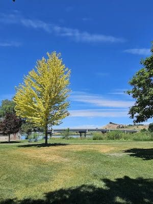 Marsing Island Park
