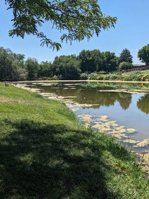 Marsing Island Park