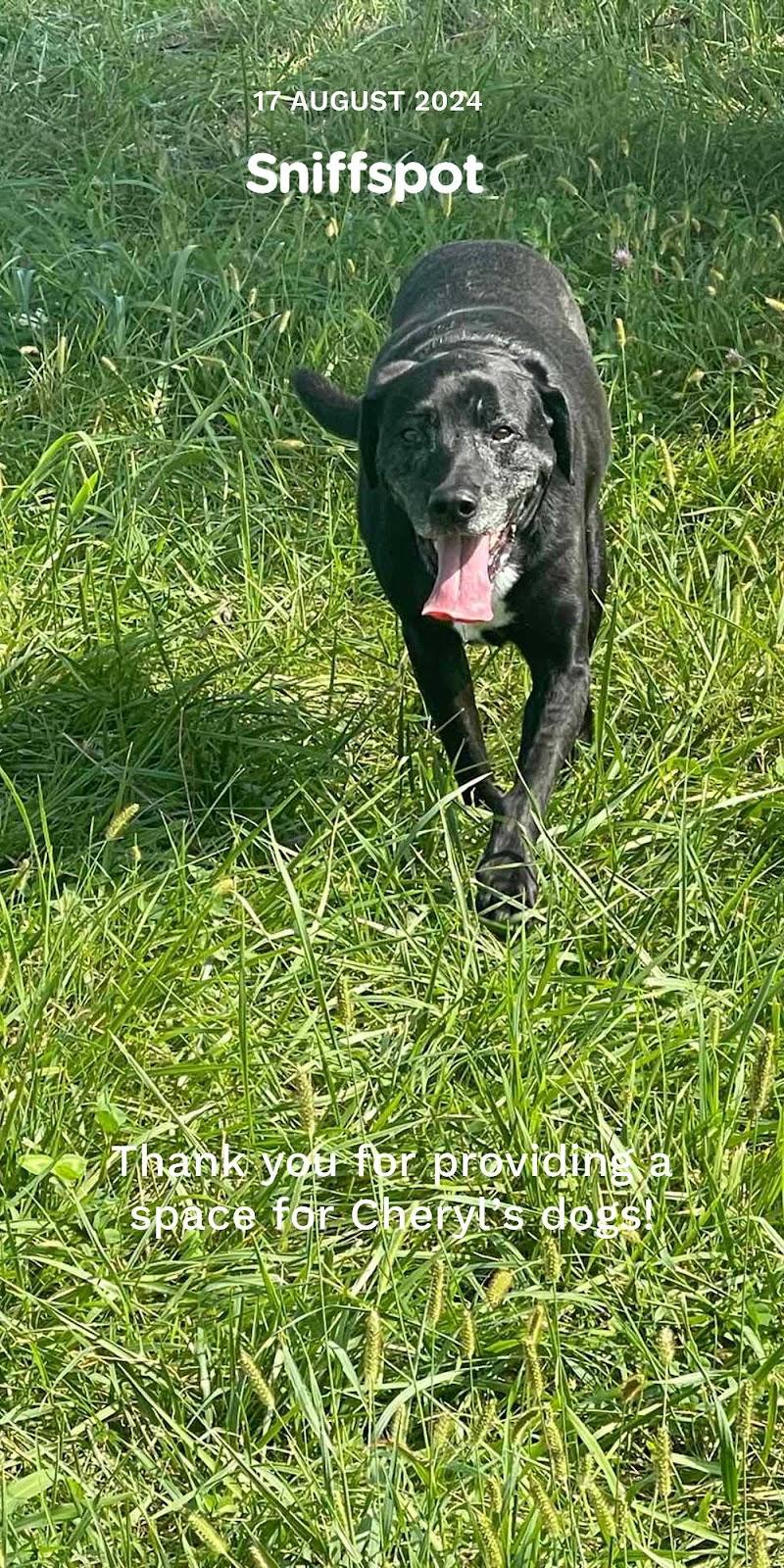 Iron Nail Ranch SniffSpot - Marthasville, MO