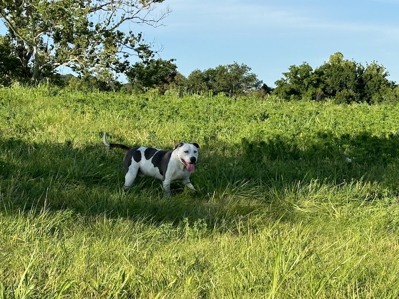 Iron Nail Ranch SniffSpot - Marthasville, MO