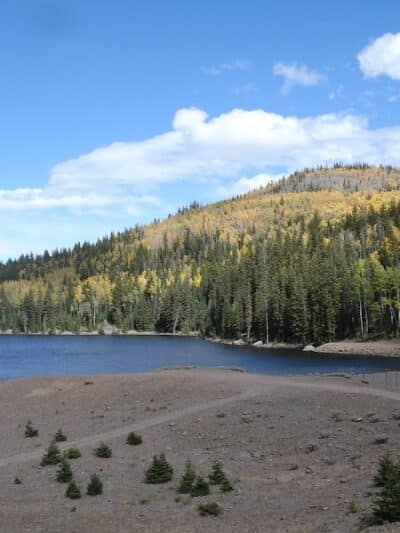Manning Meadow CUA Dispersed - Marysvale, UT