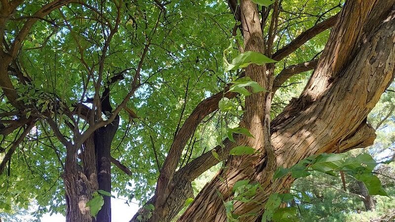 Nature Park - Maryville, MO
