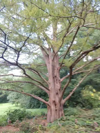 Nature Park - Maryville, MO