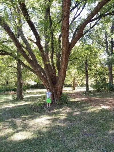 Nature Park - Maryville, MO