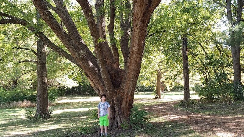 Nature Park - Maryville, MO