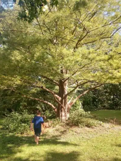 Nature Park - Maryville, MO