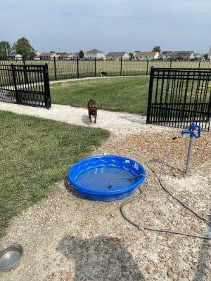 Mascoutah Dog Park