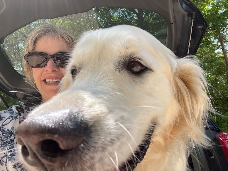 Mashpee Dog Park - Mashpee, MA