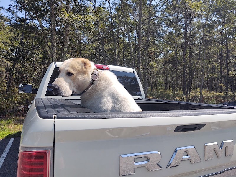 Mashpee Dog Park - Mashpee, MA