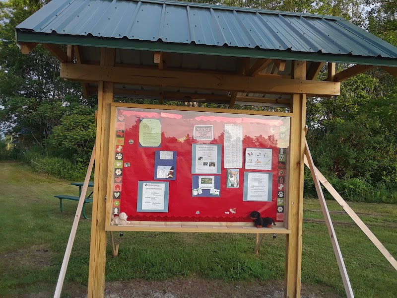 Lakeside Bark Dog Park - Mayville, NY