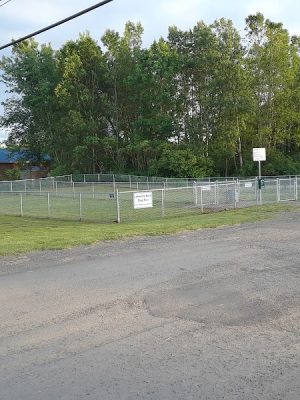 Lakeside Bark Dog Park - Mayville, NY