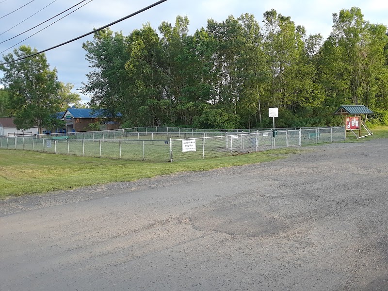 Lakeside Bark Dog Park - Mayville, NY