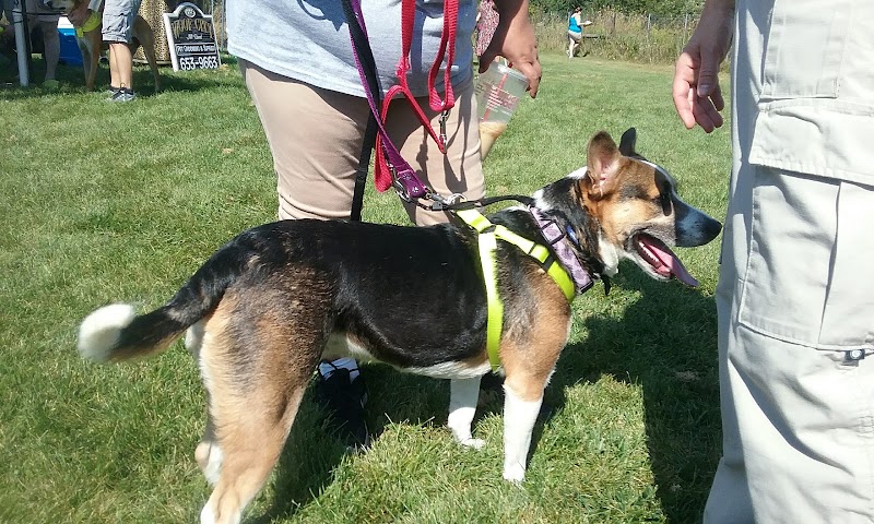 McBark Dog Park - McHenry, IL