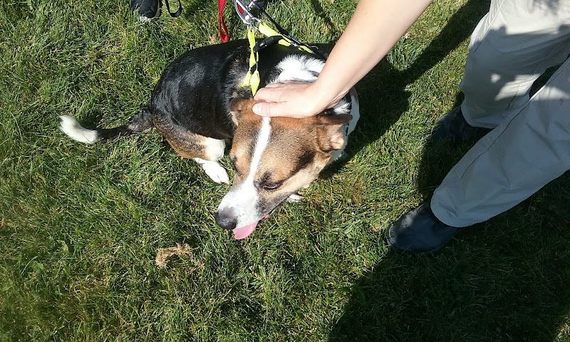 McBark Dog Park - McHenry, IL