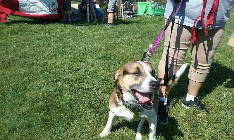 McBark Dog Park - McHenry, IL