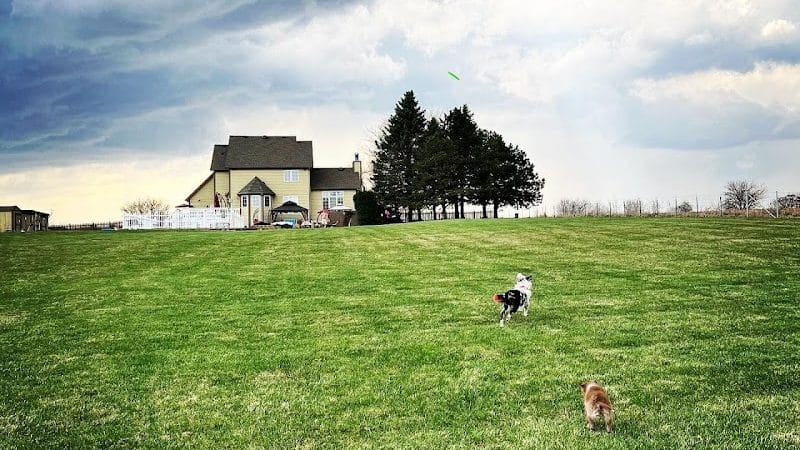 Zoomie Zones - McHenry, IL
